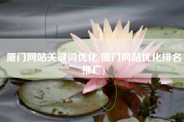 厦门网站关键词优化(厦门网站优化排名推广)