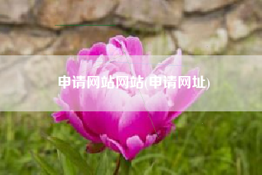 申请网站网站(申请网址)