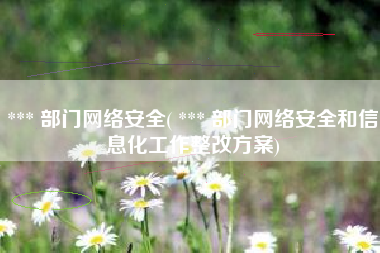 *** 部门网络安全( *** 部门网络安全和信息化工作整改方案)
