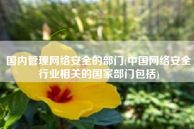 国内管理网络安全的部门(中国网络安全行业相关的国家部门包括)