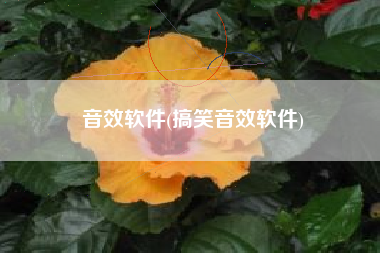音效软件(搞笑音效软件)