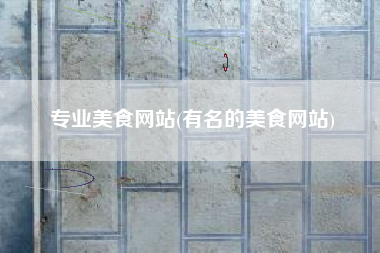 专业美食网站(有名的美食网站)