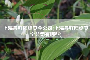 上海最好网络安全公司(上海最好网络安全公司有哪些)