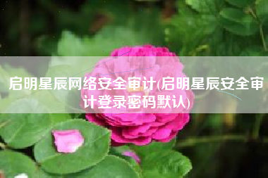 启明星辰网络安全审计(启明星辰安全审计登录密码默认)