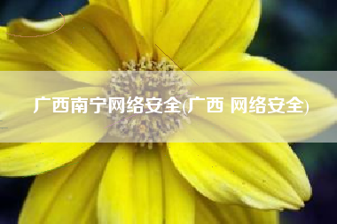 广西南宁网络安全(广西 网络安全)
