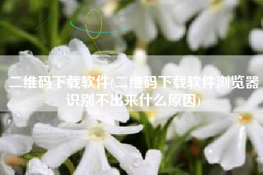 二维码下载软件(二维码下载软件浏览器识别不出来什么原因)