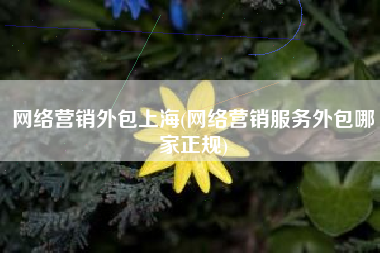 网络营销外包上海(网络营销服务外包哪家正规)