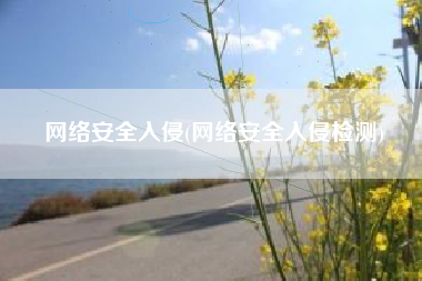 网络安全入侵(网络安全入侵检测)