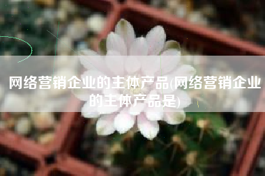 网络营销企业的主体产品(网络营销企业的主体产品是)