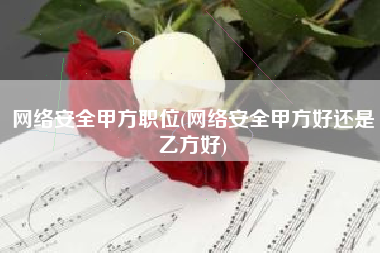 网络安全甲方职位(网络安全甲方好还是乙方好)