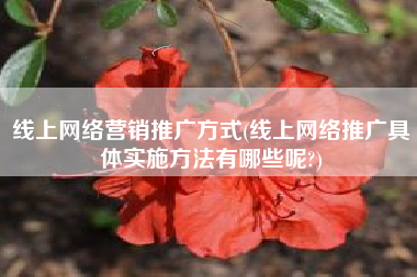 线上网络营销推广方式(线上网络推广具体实施方法有哪些呢?)