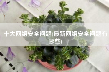 十大网络安全问题(最新网络安全问题有哪些)