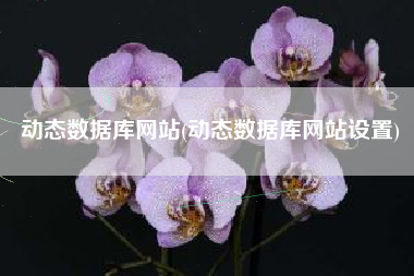 动态数据库网站(动态数据库网站设置)
