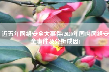 近五年网络安全大事件(2020年国内网络安全事件及分析成因)
