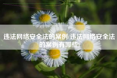 违法网络安全法的案例(违法网络安全法的案例有哪些)