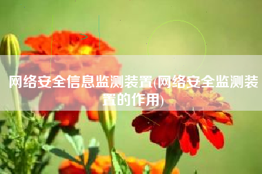 网络安全信息监测装置(网络安全监测装置的作用)