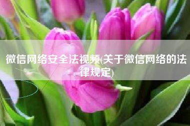 微信网络安全法视频(关于微信网络的法律规定)