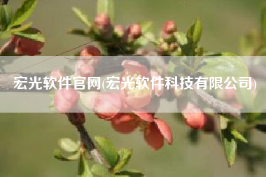 宏光软件官网(宏光软件科技有限公司)