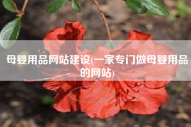 母婴用品网站建设(一家专门做母婴用品的网站)