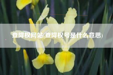 查降权网站(查降权号是什么意思)