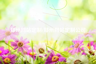 郑州网站定制(郑州网站定制公司)