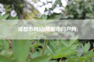 成都市网站(成都市门户网)