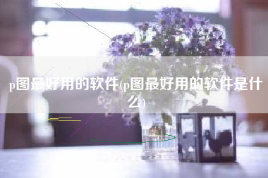 p图最好用的软件(p图最好用的软件是什么)