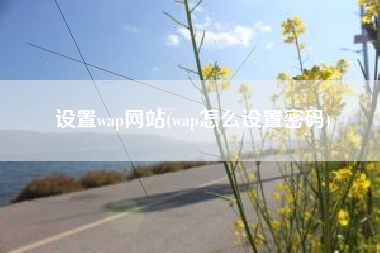 设置wap网站(wap怎么设置密码)