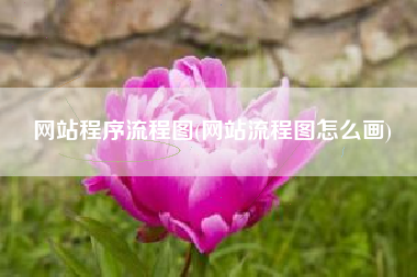 网站程序流程图(网站流程图怎么画)