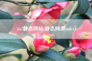 iis7静态网站(静态网页index)
