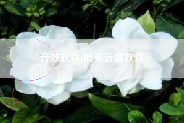 音效软件(搞笑音效软件)