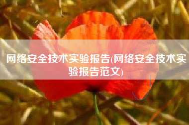 网络安全技术实验报告(网络安全技术实验报告范文)
