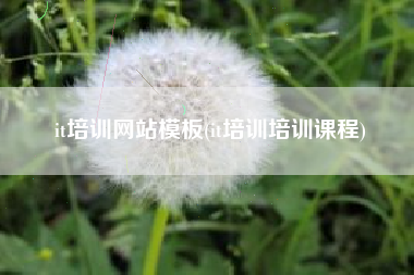 it培训网站模板(it培训培训课程)