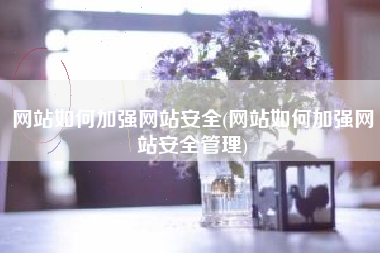 网站如何加强网站安全(网站如何加强网站安全管理)