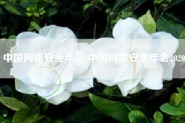 中国网络安全年会(中国网络安全年会2020)