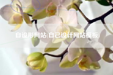 自设形网站(自己设计网站模板)