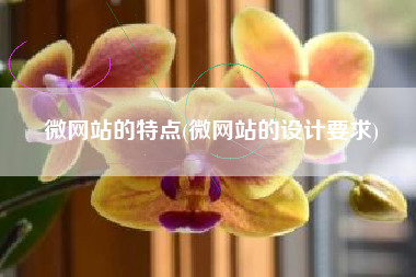 微网站的特点(微网站的设计要求)