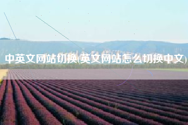 中英文网站切换(英文网站怎么切换中文)