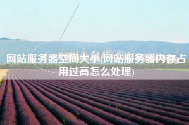 网站服务器空间大小(网站服务器内存占用过高怎么处理)