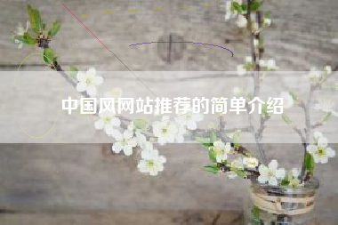 中国风网站推荐的简单介绍
