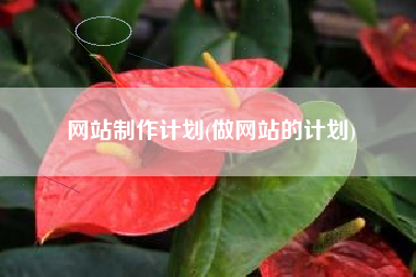 网站制作计划(做网站的计划)