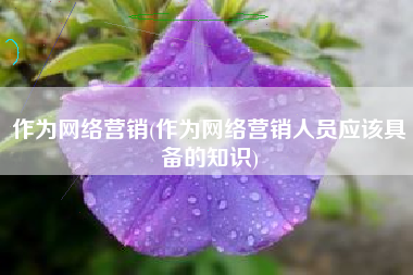作为网络营销(作为网络营销人员应该具备的知识)
