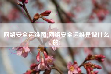 网络安全运维图(网络安全运维是做什么的)