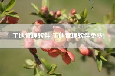 工地管理软件(工地管理软件免费)