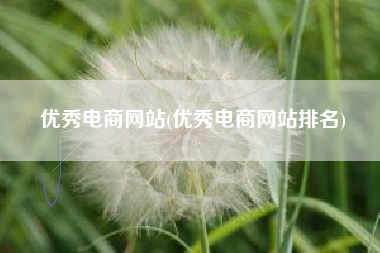 优秀电商网站(优秀电商网站排名)