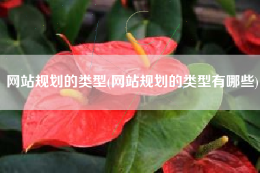 网站规划的类型(网站规划的类型有哪些)