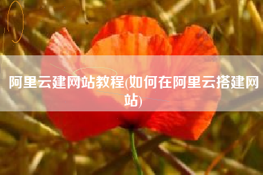 阿里云建网站教程(如何在阿里云搭建网站)