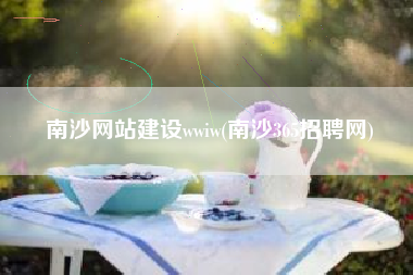南沙网站建设wwiw(南沙365招聘网)