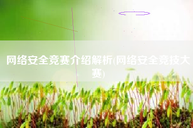 网络安全竞赛介绍解析(网络安全竞技大赛)