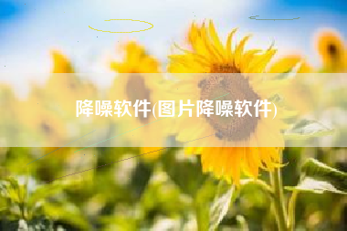 降噪软件(图片降噪软件)